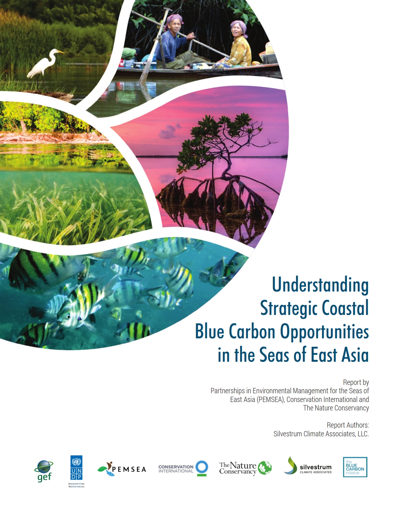 Understanding Strategic Coastal Blue Carbon Opportunities Pemsea